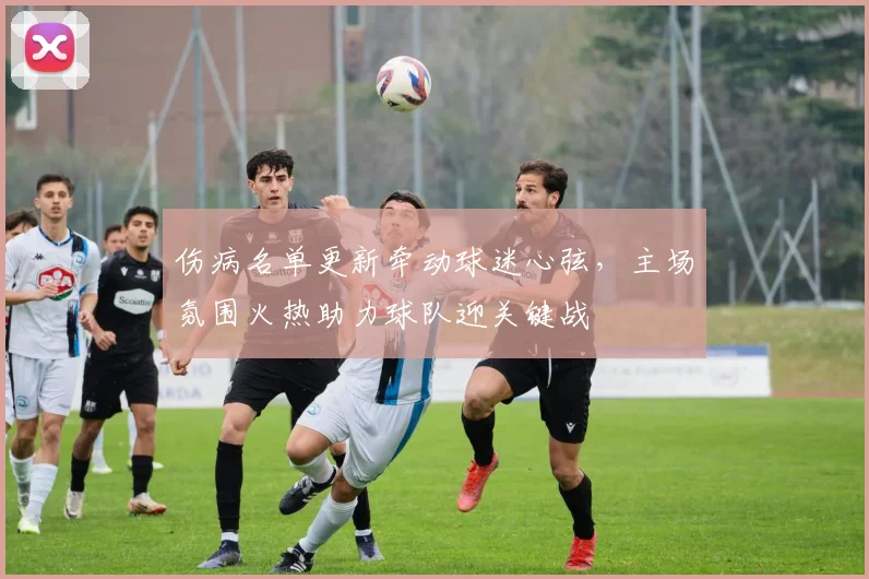 伤病名单更新牵动球迷心弦，主场氛围火热助力球队迎关键战