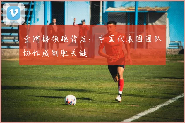 金牌榜领跑背后，中国代表团团队协作成制胜关键