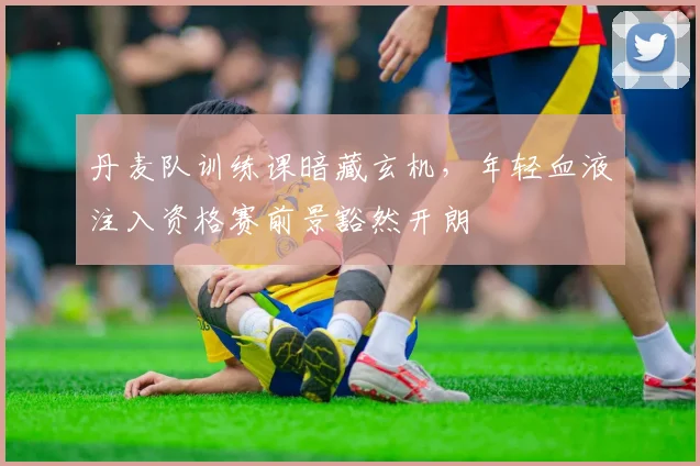 丹麦队训练课暗藏玄机，年轻血液注入资格赛前景豁然开朗