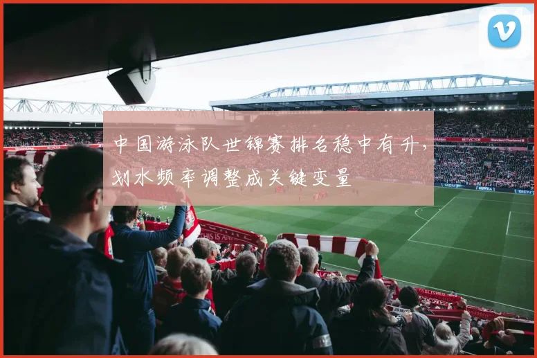 中国游泳队世锦赛排名稳中有升，划水频率调整成关键变量